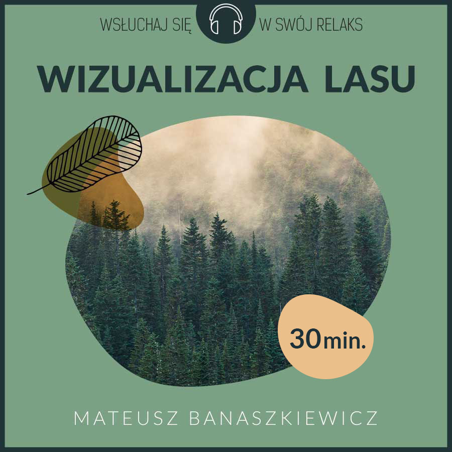 Wizualizacja lasu (30 minut)